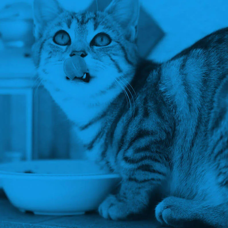 Featured food delivery